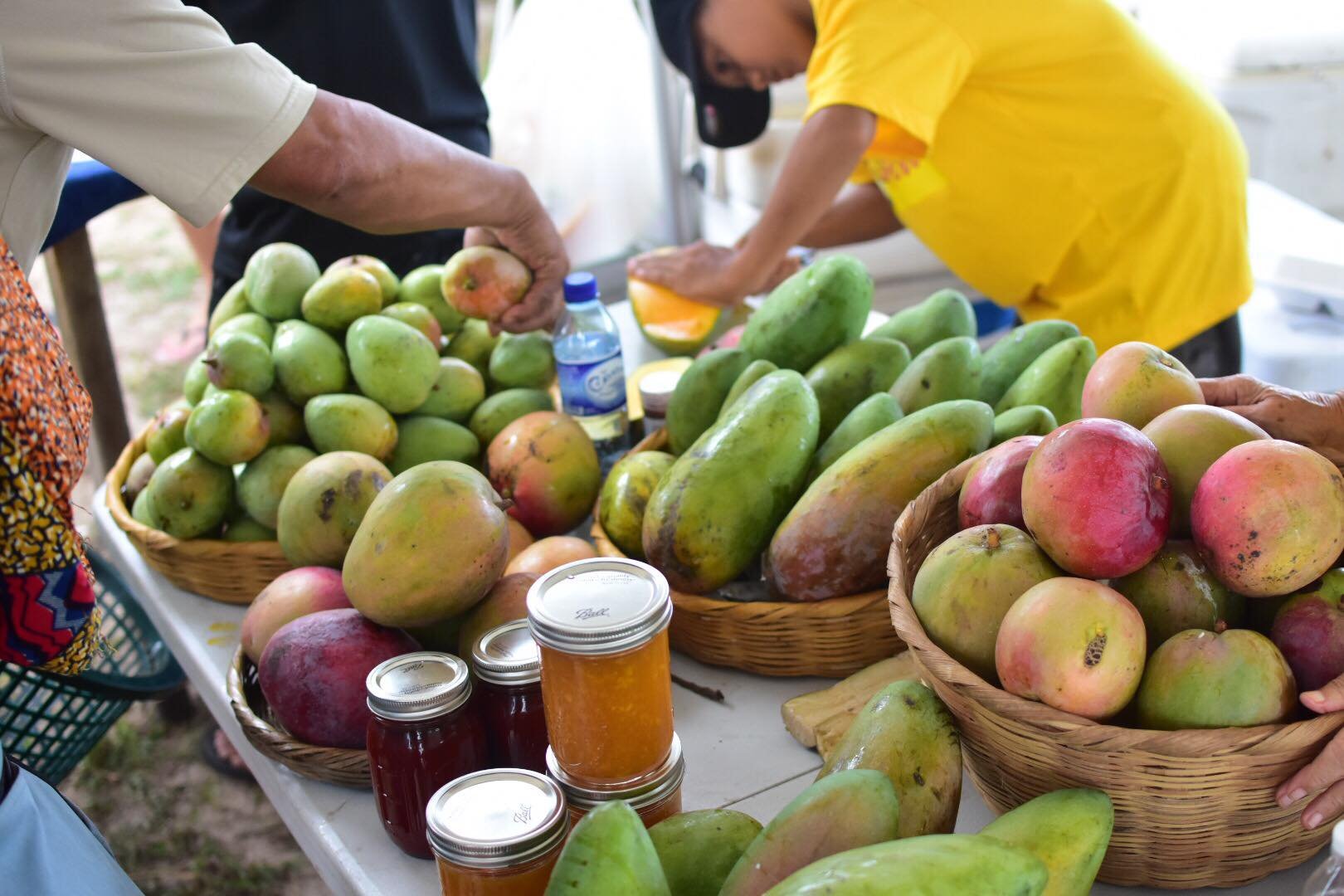 Top 6 Festivals to Attend in Belize